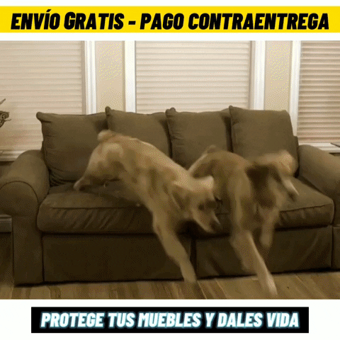 PROTECTOR PARA SOFA 2 PUESTOS 120CM ⭐️⭐️⭐️⭐️⭐️5/5